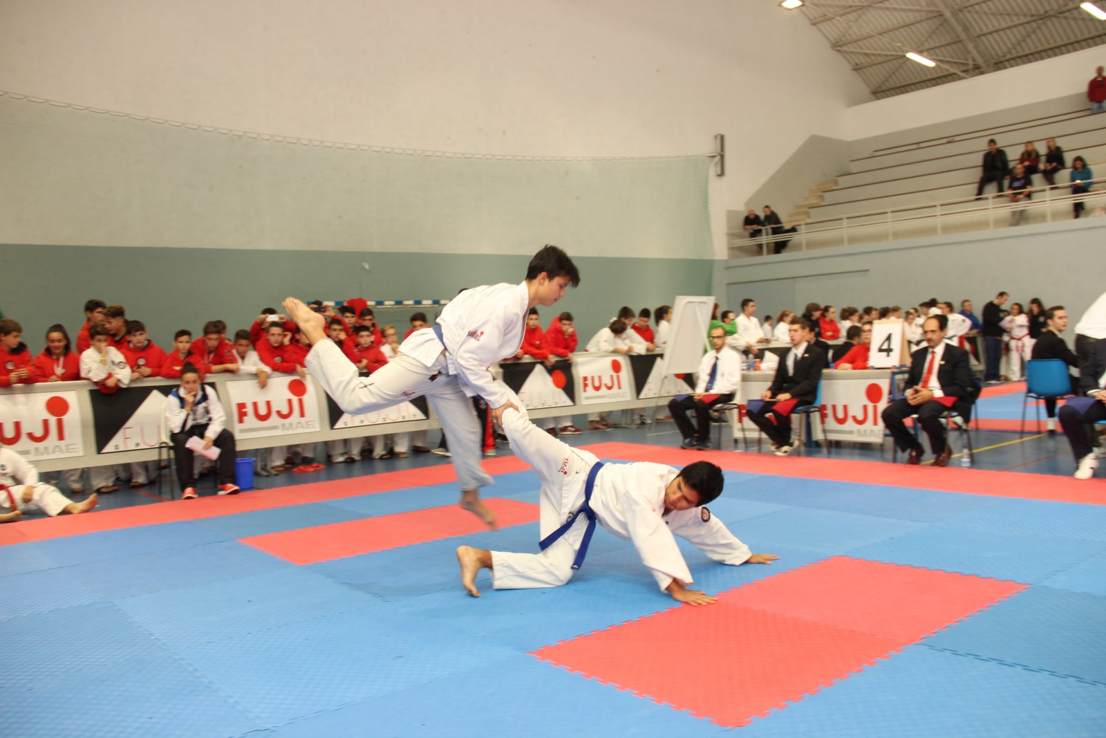 IMG_4893.jpg