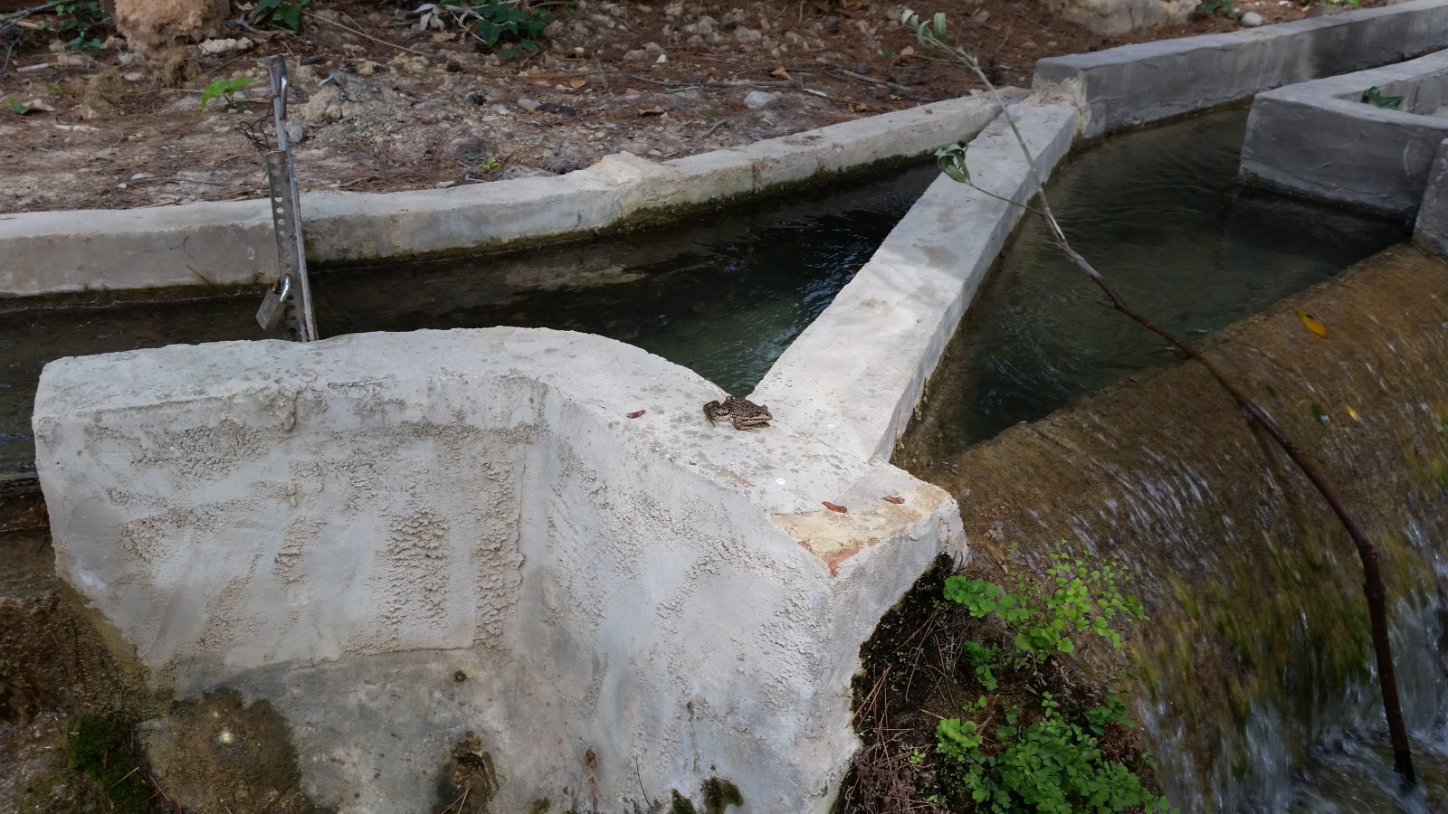 20150926_133239.jpg