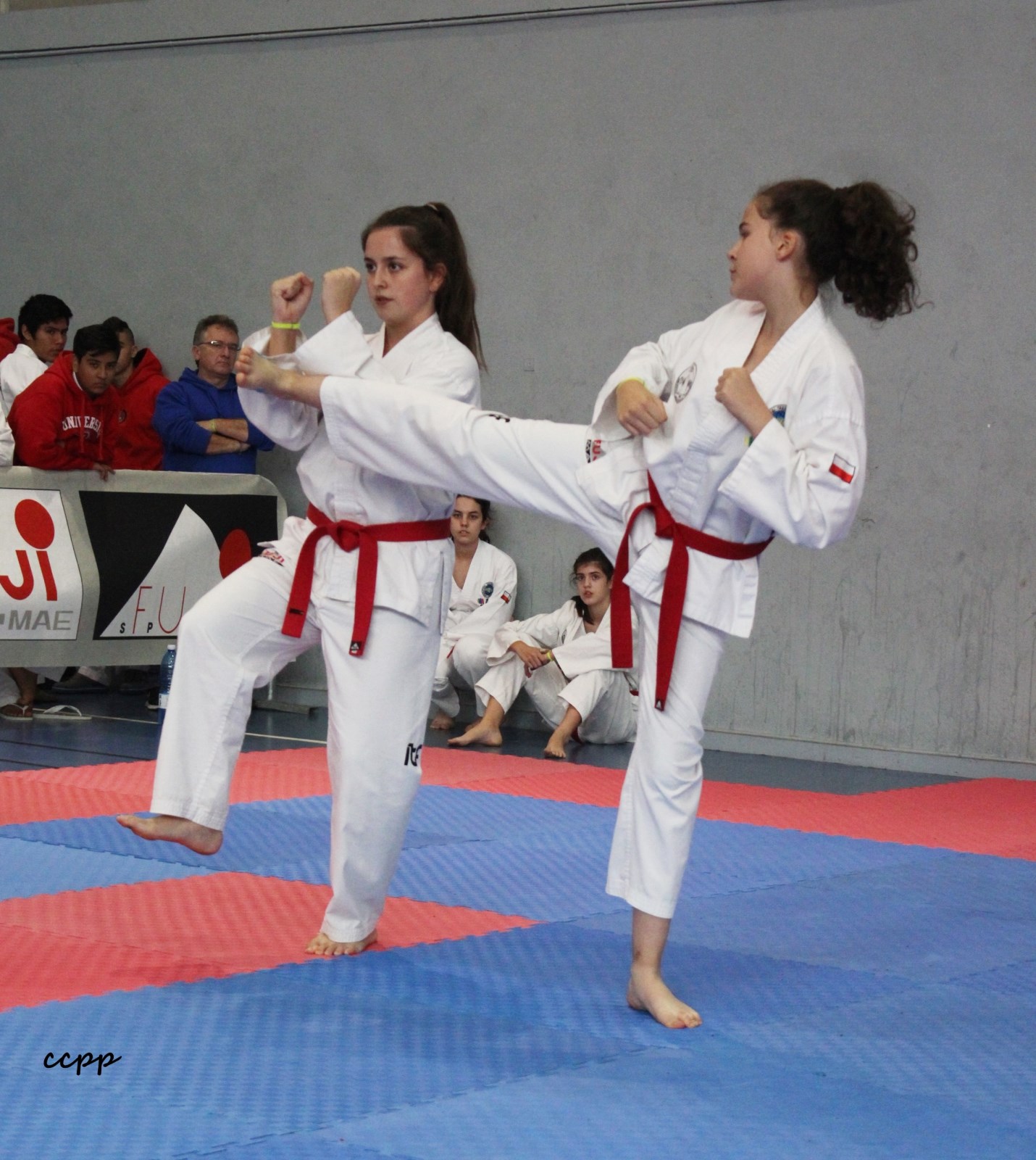 IMG_6325.jpg