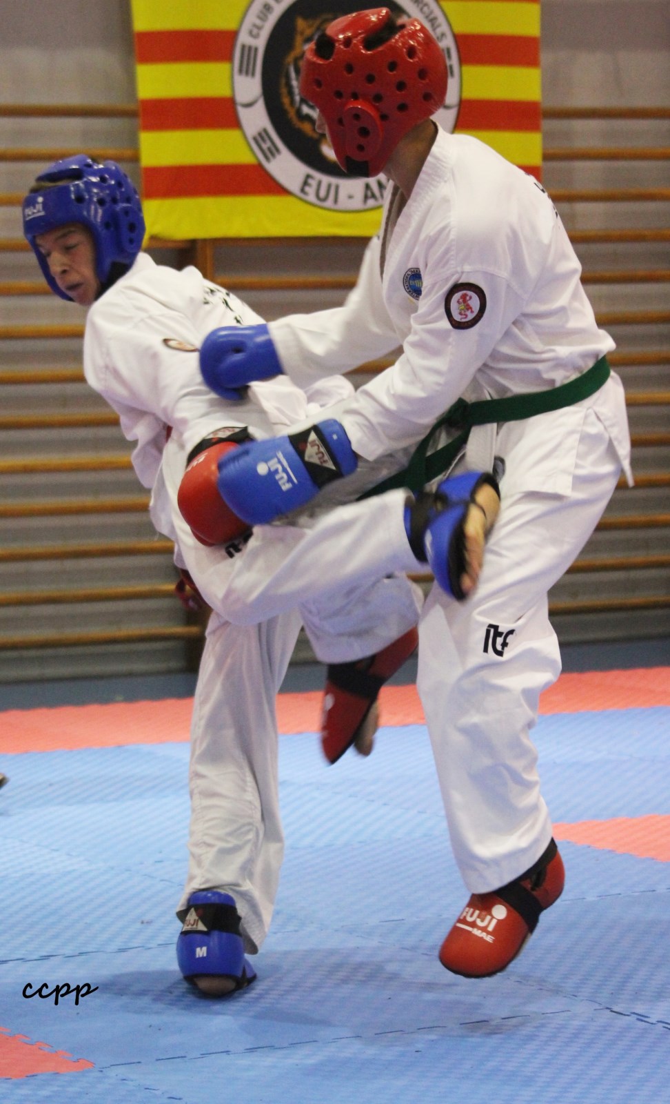 IMG_6808.jpg