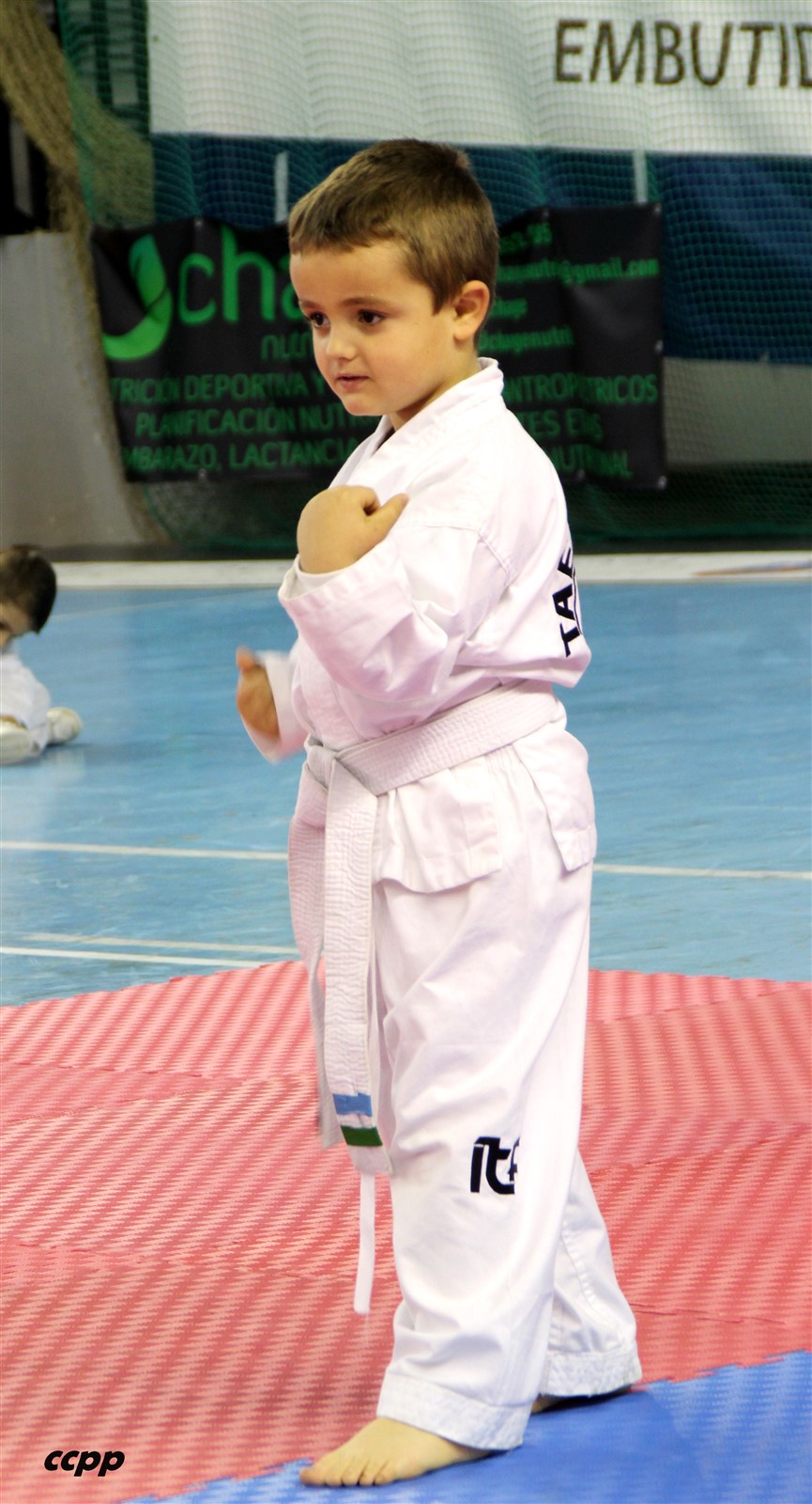 IMG_2911.jpg